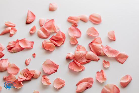 ساب جذب کراش