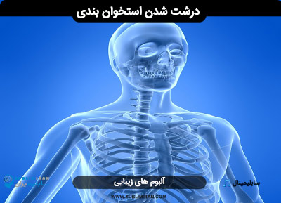 درشت شدن استخوان بندی