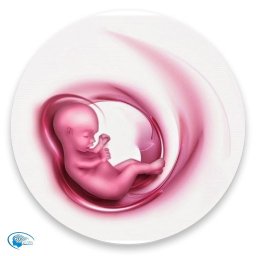 زیبایی جنین