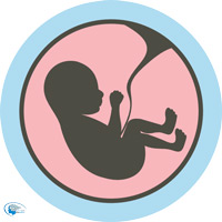 زیبایی جنین